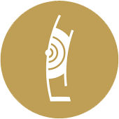 Echo Klassik logo award